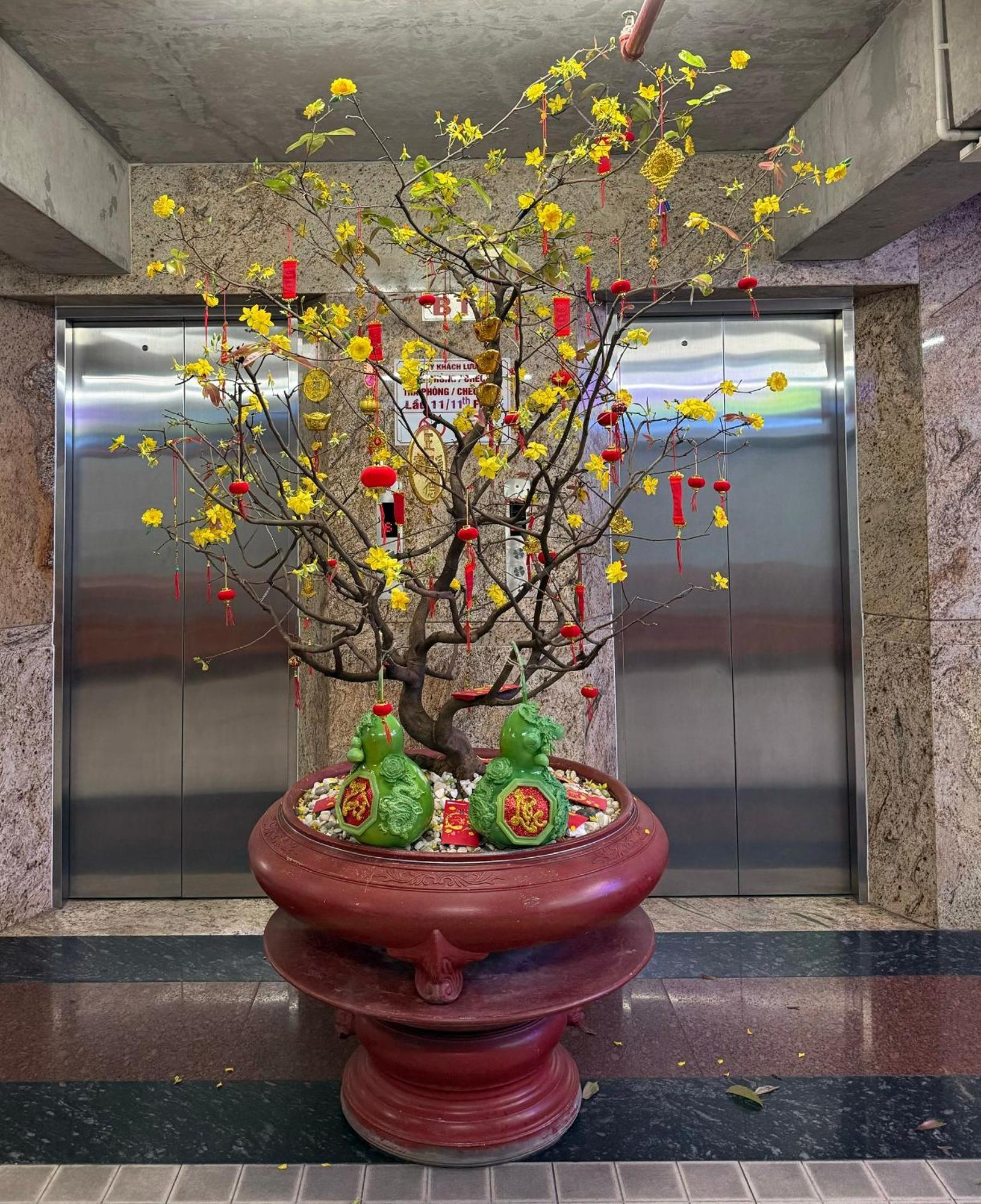 Thien Tai Hotel Ciudad Ho Chi Minh  Exterior foto